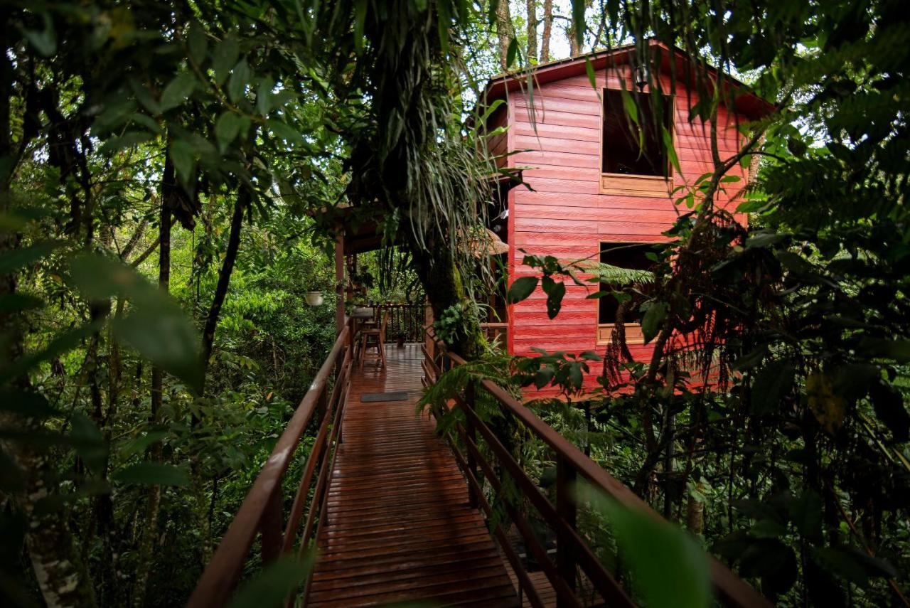 Tominejo Ecolodge - Casas En Los Arboles Neira Zewnętrze zdjęcie