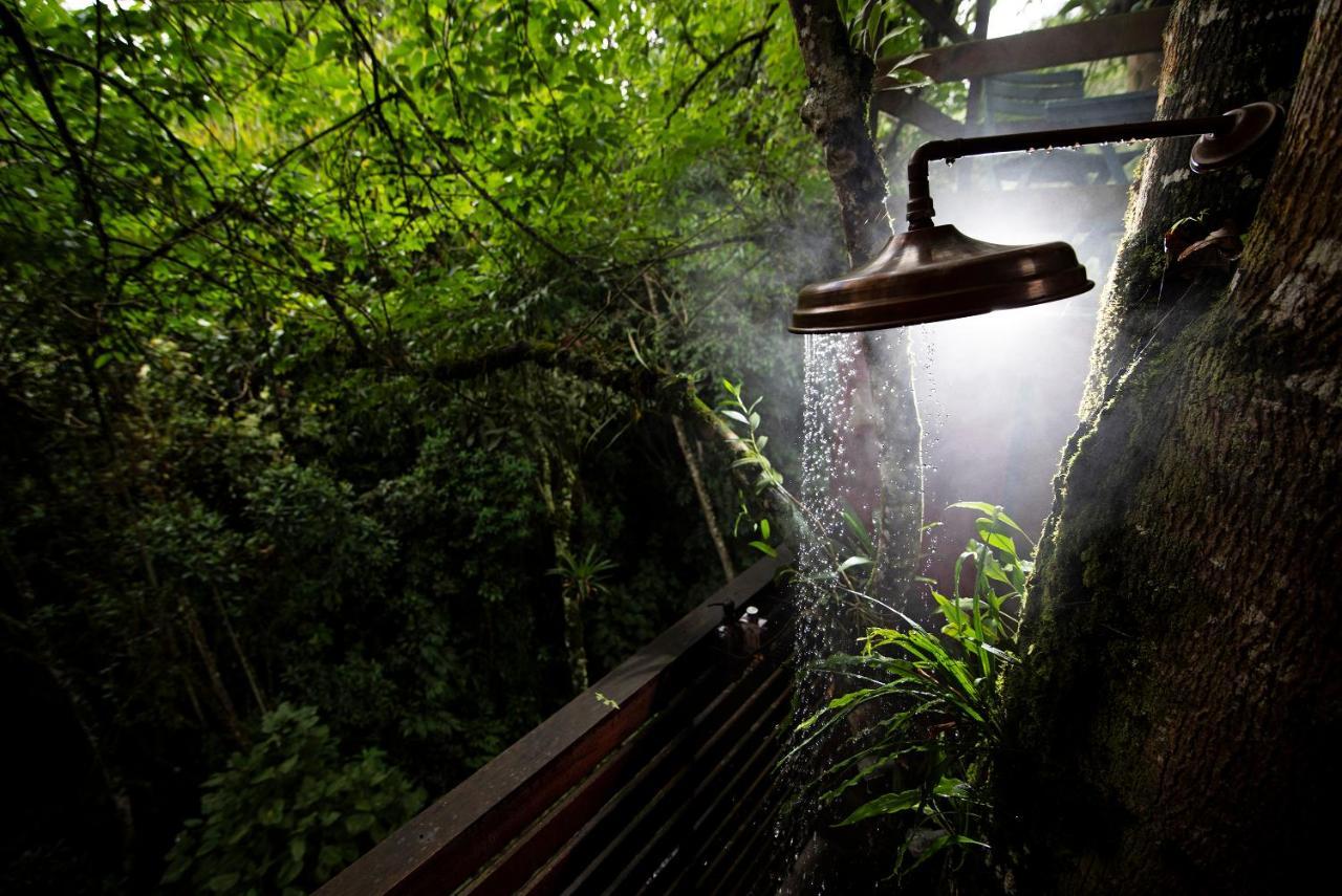 Tominejo Ecolodge - Casas En Los Arboles Neira Zewnętrze zdjęcie
