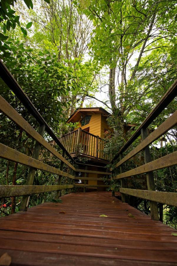 Tominejo Ecolodge - Casas En Los Arboles Neira Zewnętrze zdjęcie