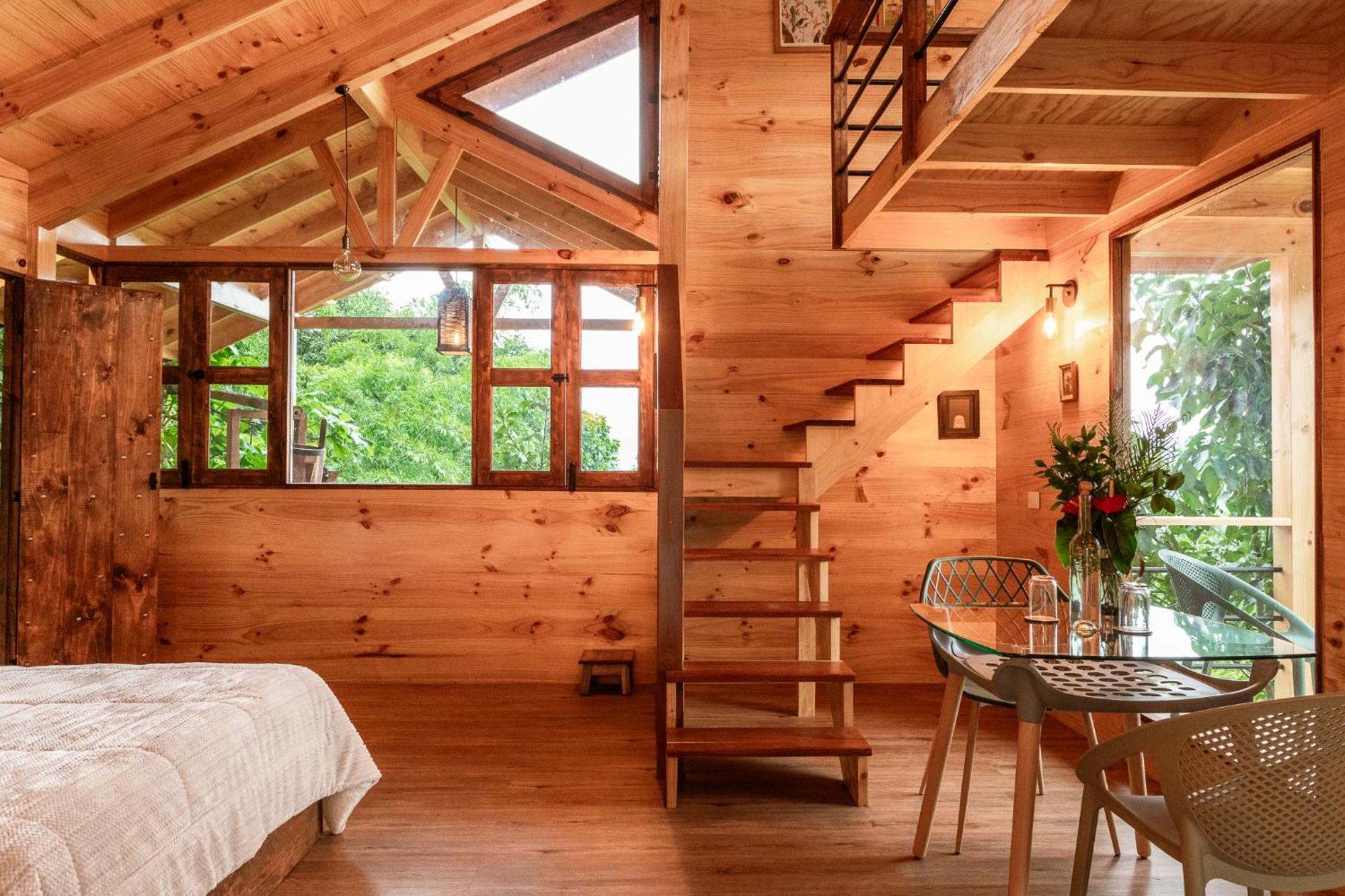 Tominejo Ecolodge - Casas En Los Arboles Neira Zewnętrze zdjęcie