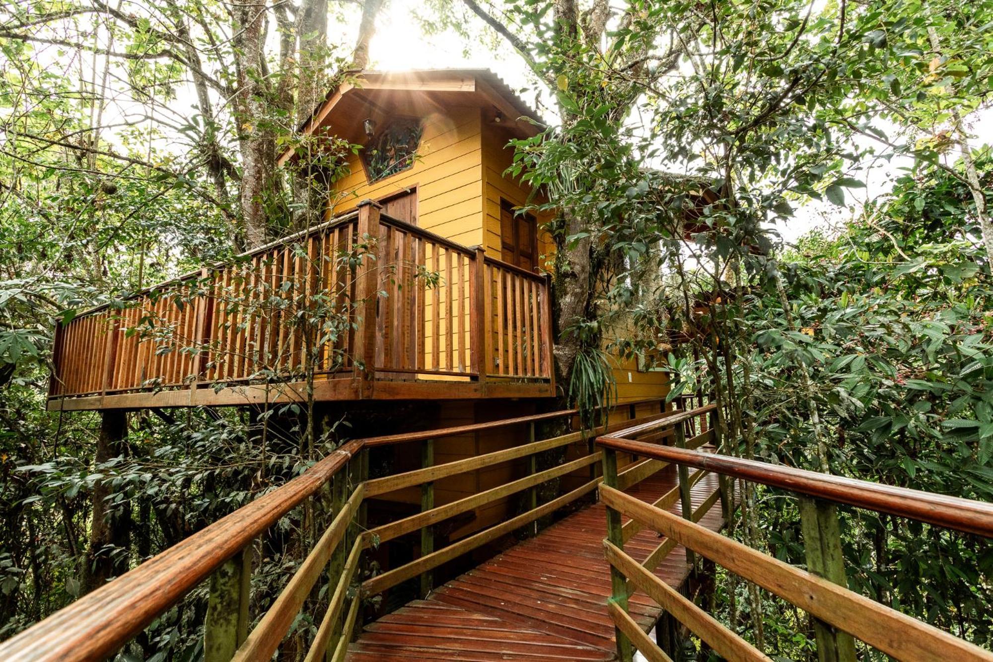 Tominejo Ecolodge - Casas En Los Arboles Neira Zewnętrze zdjęcie