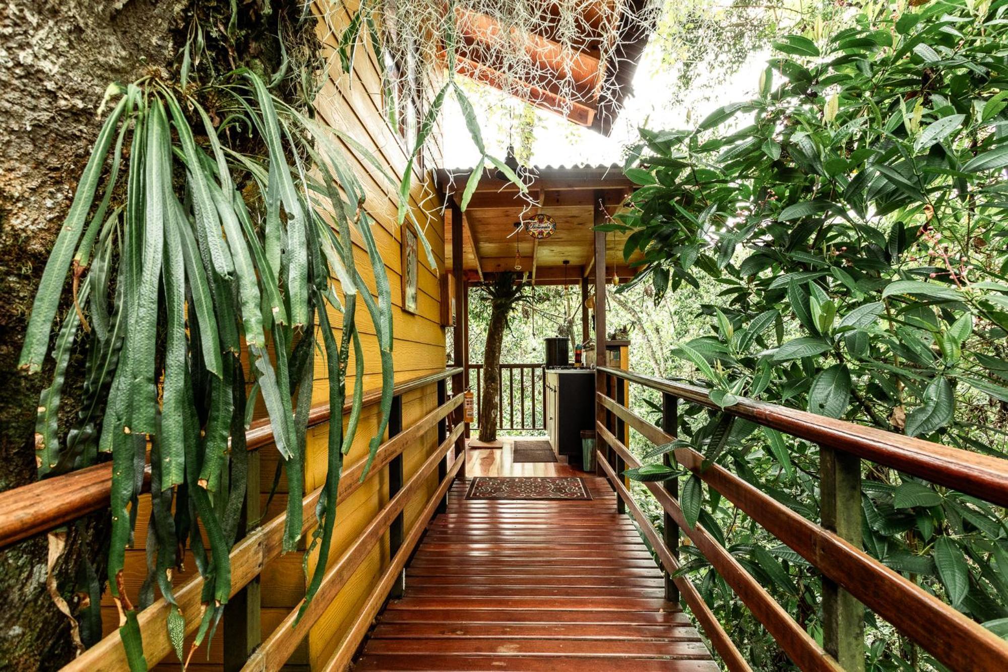 Tominejo Ecolodge - Casas En Los Arboles Neira Zewnętrze zdjęcie
