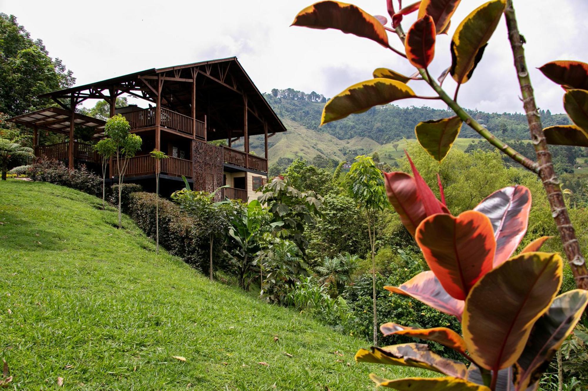 Tominejo Ecolodge - Casas En Los Arboles Neira Zewnętrze zdjęcie